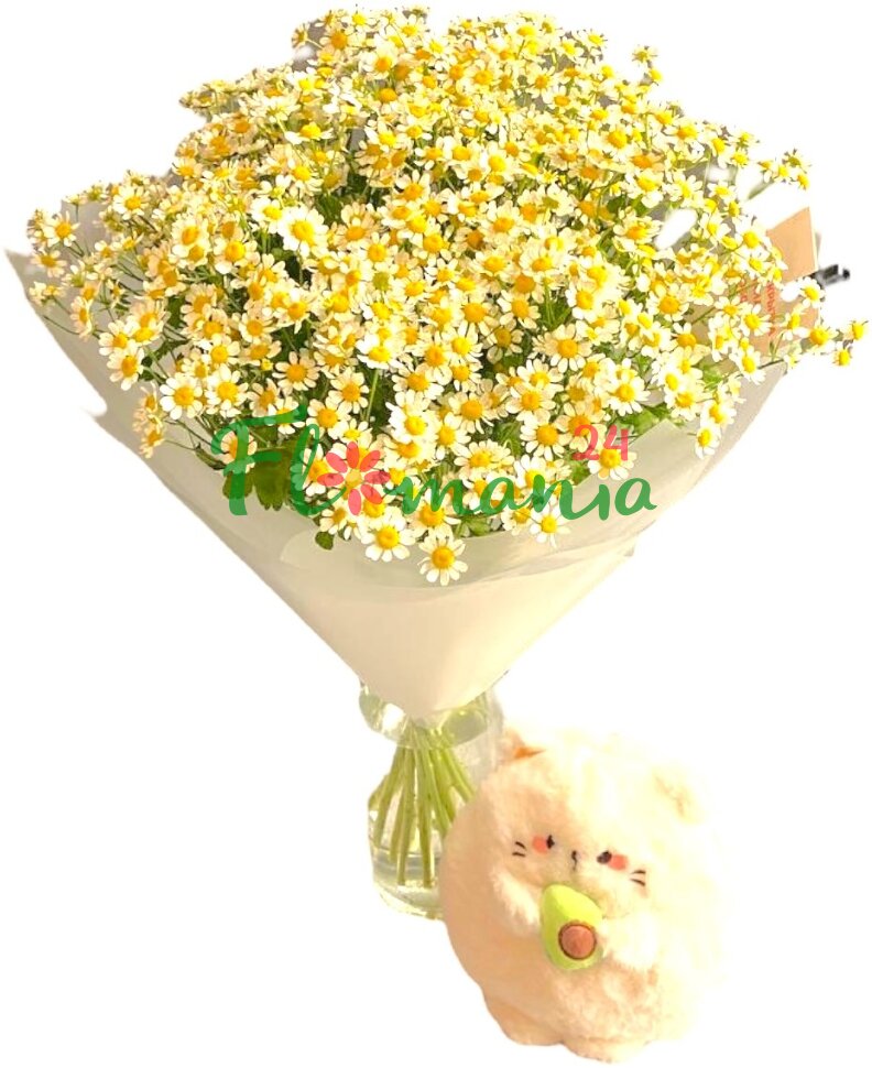 Маленькие звёздочки